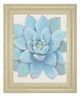 Classy Living Tim OToole Pastel Succulent I Wall Art-0
