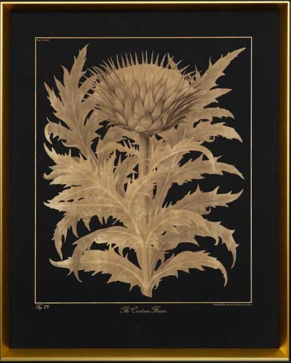 Stylecraft Cardoon flower Black/Gold Wall Art-1