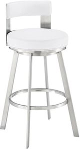 Brushed Stainless Steel-White