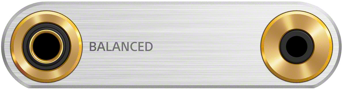 Sony® ZX Series 64GB Silver Hi-Res Walkman® MP3 Player