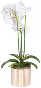 A & B Home Gold/White Artificial Orchid in Striped Pot-0