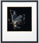 Stylecraft Modern Flower II Wall Art-0