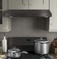 GE® 30" Black Stainless Steel Under The Cabinet Hood-5