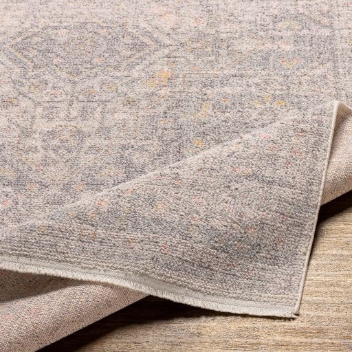 Surya Subtle Multi-Colored 8'x10' Area Rug-2