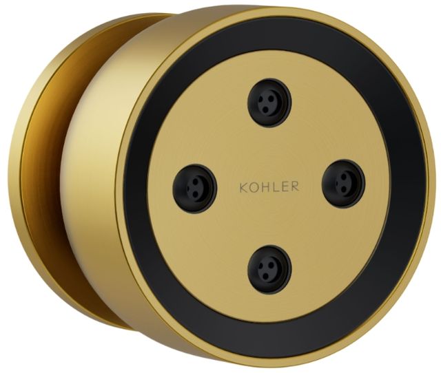 KOHLER® Statement® Vibrant Brushed Moderne Brass 1.75 GPM Round Single-Function Body Spray-0