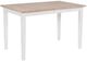 TEI Natural Rectangular Dining Table with White Base-0