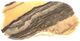 A & B Home Fernando Beige/Gray Hand-Carved Zebra Onyx Bowl-0