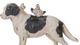 A & B Home Resin Dog-1