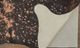 Feizy Ellyse Brown Rug-3