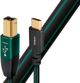 AudioQuest® Forest Green 0.75 m USB C to B Cable-0
