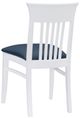 Linon Fraser 2-Piece Navy/White Dining Chair Set-4