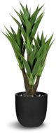 Le Present Agave Green Faux Botanical-0