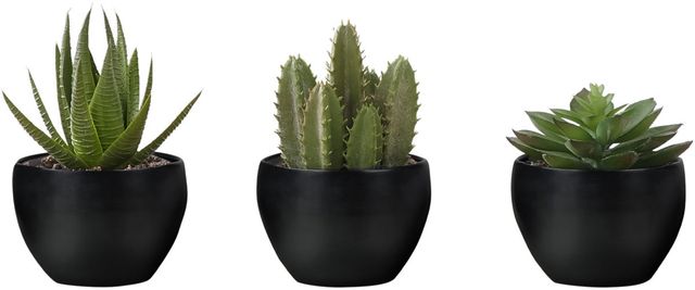 Monarch Specialties Inc. 3-piece 6" Artificial Succulent with Black Pot-0