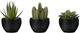 Monarch Specialties Inc. 3-piece 6" Artificial Succulent with Black Pot-0