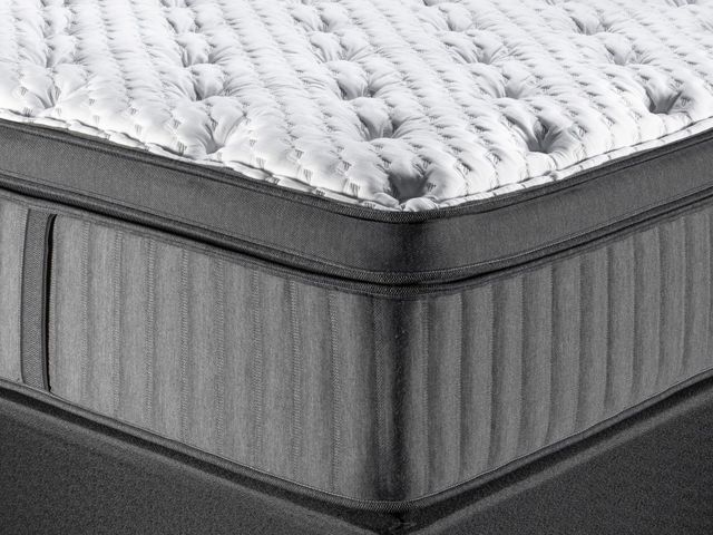 Spring Air® Back Supporter Michelle 16" Hybrid Plush Box Top Queen Mattress-1