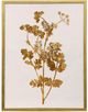 StyleCraft Pressed Foliage ll Wall Art-0