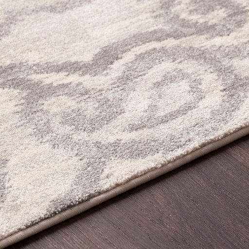 Surya Aberdine Gray 2'x3' Throw Rug-4