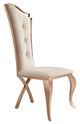 VIG Furniture Modrest Bonnie 2-Piece Beige Dining Chair Set-1