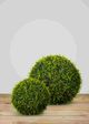 Le Present Teardrop Green Faux Botanical Ball-4