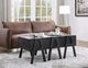 ACME Furniture Lonny Black Coffee Table-2