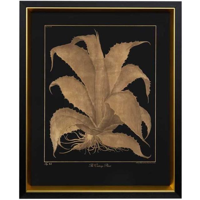 Stylecraft Century Plant Black/Gold Wall Art-0