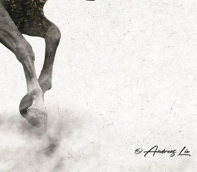 Classy Art Running White Stallion by Andreas Lie Wall Art-1