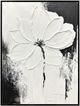 Classy Living Definitive Ethereal Blossom II Wall Art-0