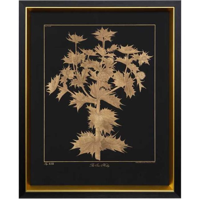 Stylecraft Sea Holly Black/Gold Wall Art-0