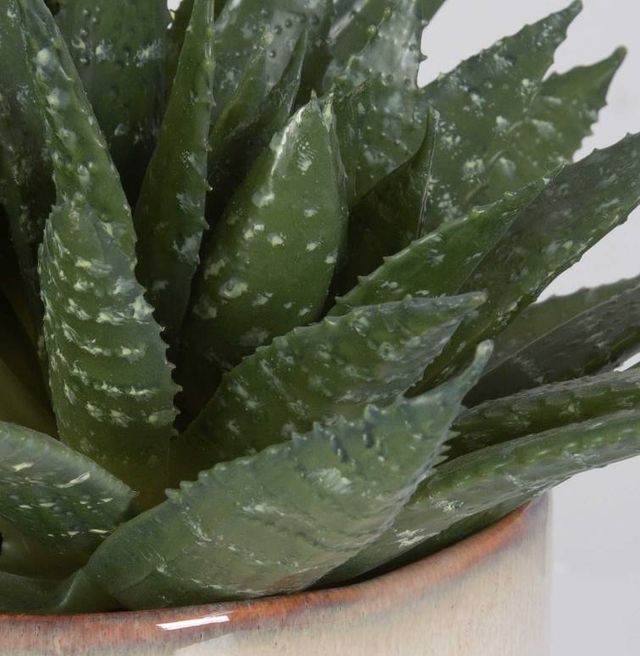 Uttermost® Doha Green Succulent Accent Artificial Foliage-4
