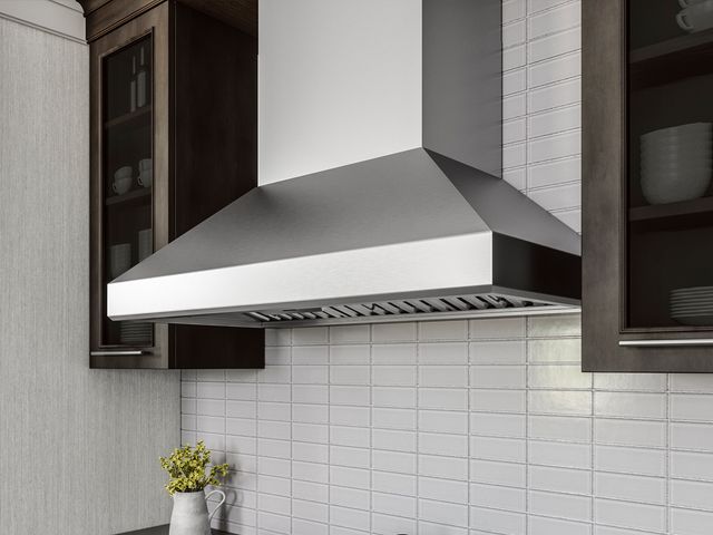ZEPHYR Pro Collection Titan Wall 60” Stainless Steel Pro Style Ventilation-3