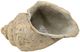 A & B Home Beige Large Cement Seashell Planter-0