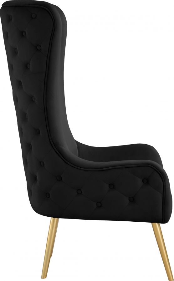 Meridian Furniture Alexander Black Velvet Accent Chair-2