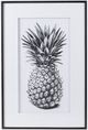 A & B Home Black/White Framed Pineapple Print-0