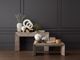 Currey & Company Kanor Whitewash Console Table-3