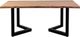 Porter International Designs Manzanita Natural Dining Table with Black V Base-1