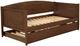 Coaster® Bozeman Medium Walnut Twin Daybed with Trundle-2