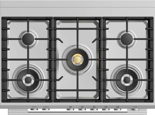 Fisher & Paykel Contemporary Series 9 36" Stainless Steel Pro Style Dual Fuel Range-1