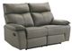 Elements International Wildcat Aviarah Gray Manual Motion Reclining Loveseat-0
