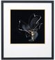 Stylecraft Modern Flower III Wall Art-0