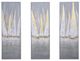 YHD Thrice Sailed 3-Piece Wall Art Set-0