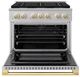 ZLINE Marino 36" Stainless Steel Pro Style Gas Range with 6-Burner and Polished Gold Accents-1