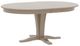 Canadel Customizable Gourmet Oval VR Base Dining Table-0