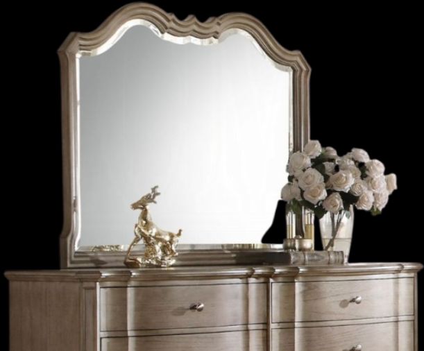ACME Furniture Chelmsford Antique Taupe Mirror-1
