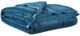 Olliix by Madison Park Coleman Teal Full/Queen Reversible Down Alternative Blanket-0