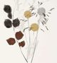 Stylecraft Wild Foliage Homely Multi-Colored Wall Art-1