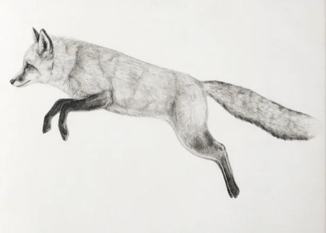 Stylecraft Flying Fox II Black/White Wall Art-1