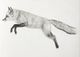 Stylecraft Flying Fox II Black/White Wall Art-1