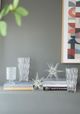 A & B Home Livie Pique Clear Vase-5