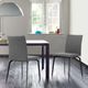Armen Living Lyon 2-Piece Black/Gray Dining Side Chair Set-1