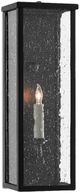 Currey & Company Tanzy Midnight Small Outdoor Wall Sconce-0